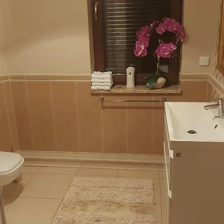 Dom Villa Niedzica
